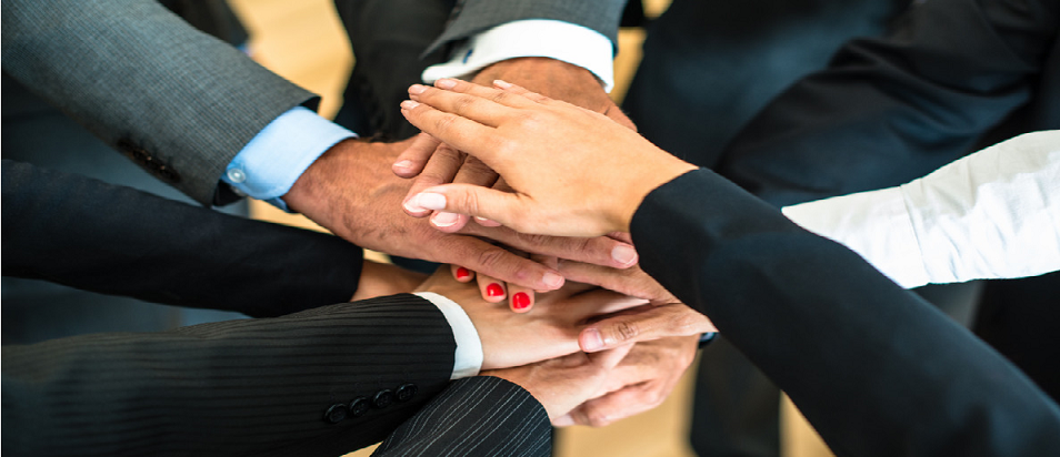 Nossa Equipe Técnica